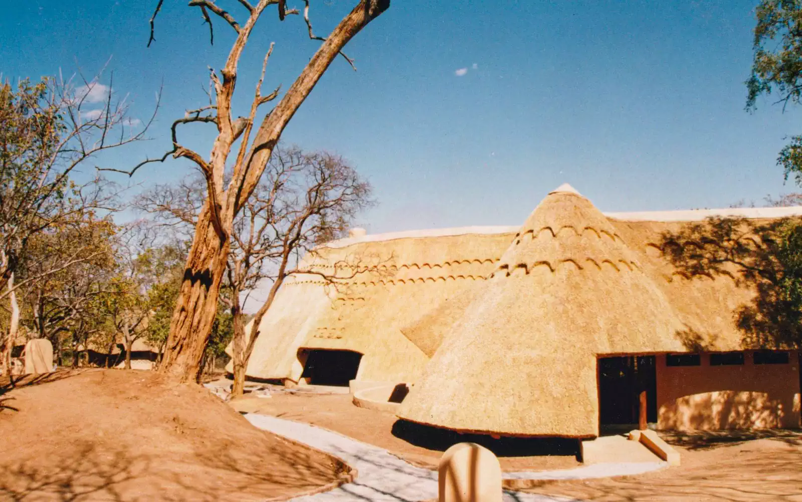 Wooden gumpole internal structure carrying thatched roof. Earthy and organic interior design by Harare based architect 