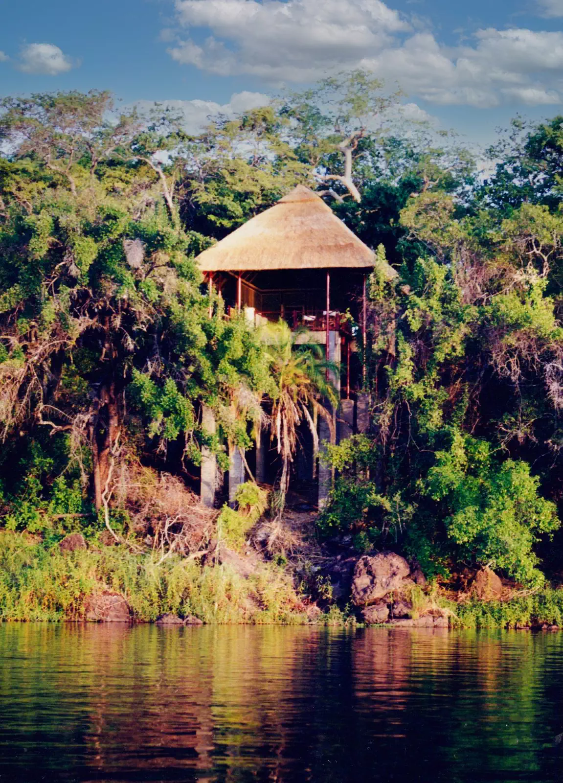 Thatched bungalow in dense vegetation on steel stilts overlooking Zambezi river designed by Zimbabwean architect
