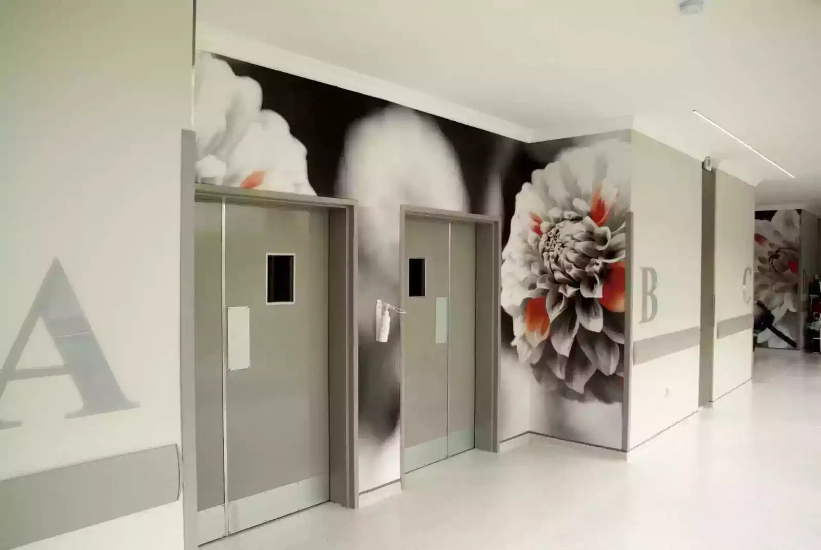 Modern Glass entrance to hospital design building. Zimbabwe design medical facility building amongst trees by architect in Harare