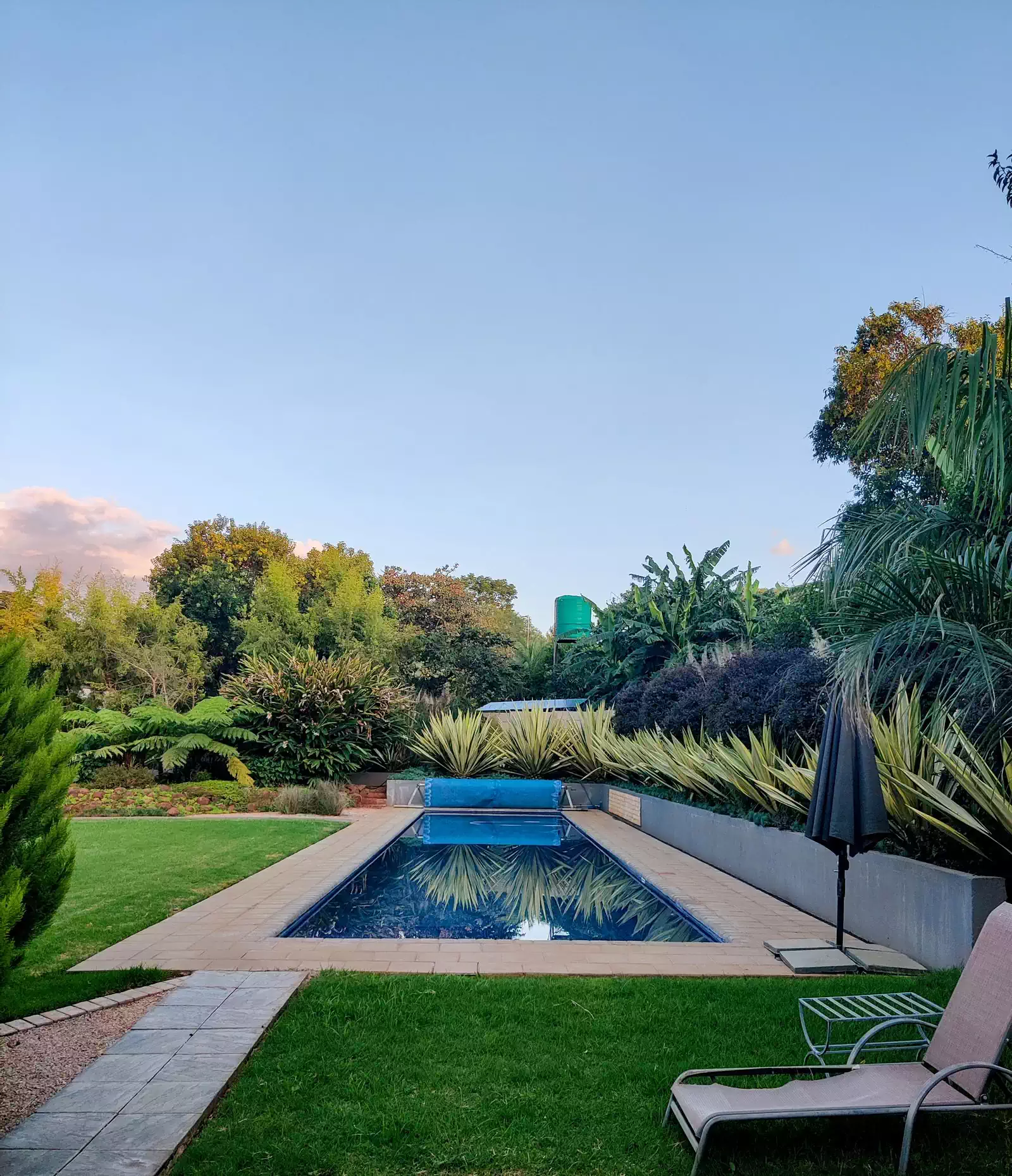 Stunning swimming lap pool among lush greenery