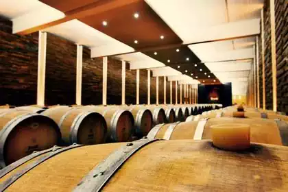 Interior of wine cellar with barrique casks and TEMET logo on wall. Design by Pantic Architects
