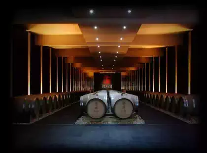 Barique barrels in basement of interior of Temet winery in Serbia. Interior design by Pantic Architects