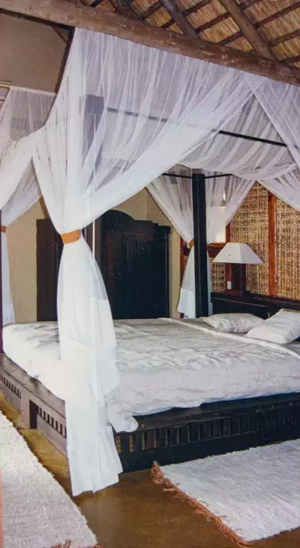 Grandiose bed with mosquito net in lodge interior