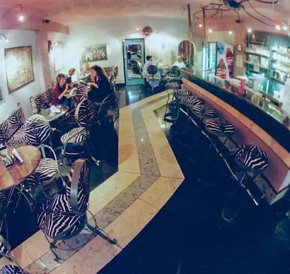 Fun zebra pattern furniture in coffee shop in Harare by local interior designers