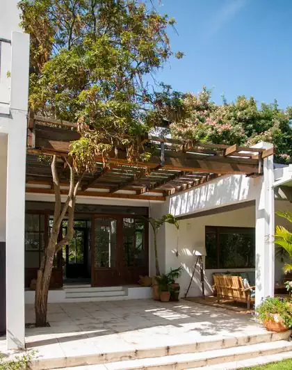 Existing indigenous tree kept in cape dutch house design by local architect