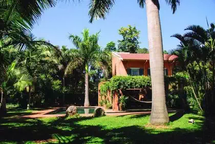 Pool by dense vegetation and modern mediterranean house and covered in creepers