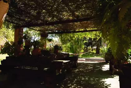 Dense shaded outside sitting and lounging area by pool in mediterranean house designed by Harare architect