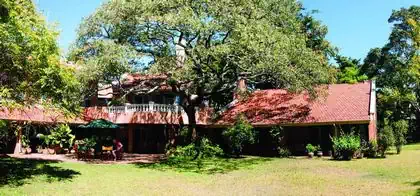 Luxurious mediterranean house built around huge tree with ample shade and covered verandas design by Pantic architects in Zimbabwe