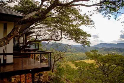 Tree house amongst branches and walkways designed by harare architectural designer