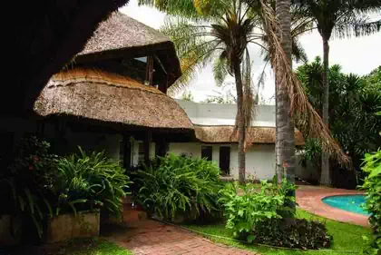 Modern mix of thatched roof and flat walls for house in Zimbabwe. Lush vegetation integrated into house design